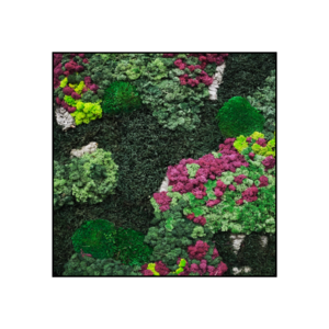 Quadratisches Moosbild Soraya