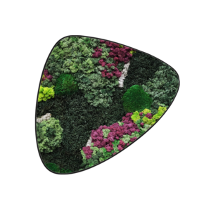 Moosdot tres Moosbild Soraya