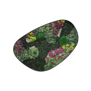 Moosdots Cuatro Moosbild Soraya