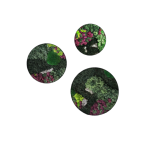 Rundes moosbild Set Soraya