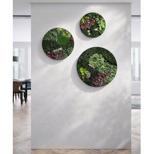 Rundes moosbild Set Soraya