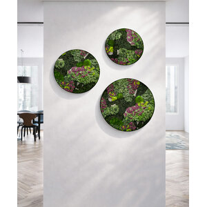 Rundes moosbild Set Soraya