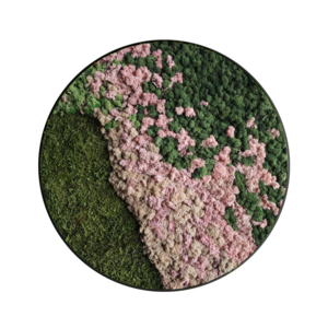 Rundes Moosbild Blush