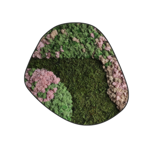 Moosdots Cinco Moosbild Blush