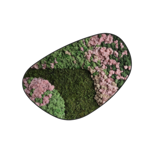 Moosdots Cuatro Moosbild Blush