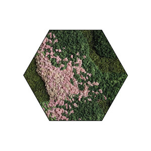 Sechseckiges Moosbild Blush