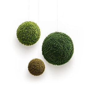 Mooskugel aus Flachmoos