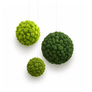 Mooskugel aus Rentiermoos