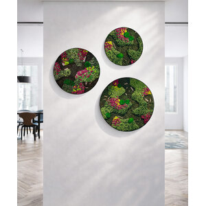 Rundes moosbild Set Soraya