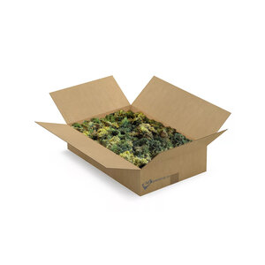 ECO Moos Box L Mix Vetus 0,30 m² | Der Billigste
