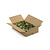ECO Moos Box L Mix Vetus 0,30 m² | Der Billigste