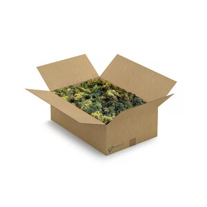 ECO Moos box XL Mix Vetus 0,70 m² | Der billigste