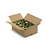 ECO Moos box XL Mix Vetus 0,70 m² | Der billigste