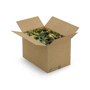 ECO Moos Box XXL Mix Vetus 1,40 m² | Der billigste