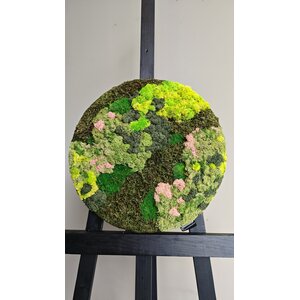 OUTLET Moosbild rund Mix 40 cm