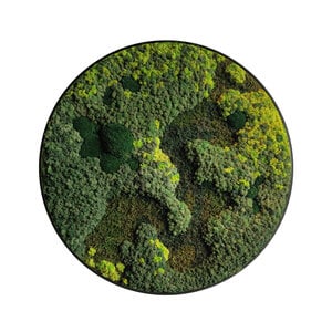 Rundes Moosbild Circle of Life