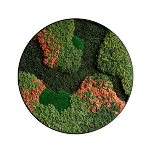 Rundes Moosbild Terra