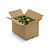 ECO Moos Box XXL Mix Vetus 1,40 m² | Der billigste