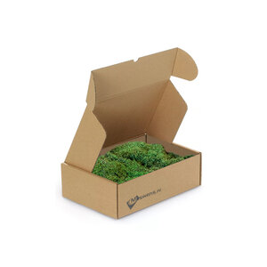Flachmoos Box M hell 0,20 m²