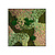 Moswens Quadratisches Moosbild Thalia