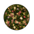 Moswens Rundes Moosbild Avalon im Blumen-Sweet