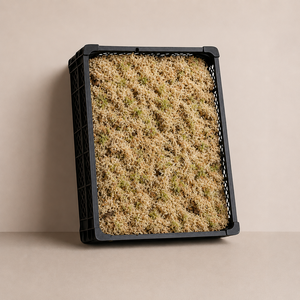 Getrocknetes Sphagnum-Moos | Unbehandelt | Naturbraun | Das günstigste auf dem Markt