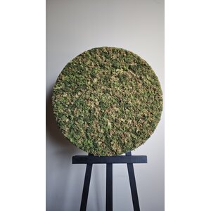 OUTLET Moosbild rund Mix 60cm mit schwarzem Stahlrand (VERKAUFT)