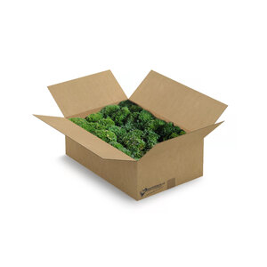 Fluff moos Box XL 0,60 m²