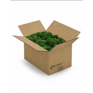 Fluff moos Box  L 0,20 m²