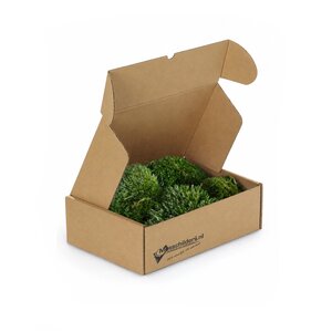 Fluff moos Box M 0,08 m²