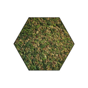 Sechseckiges Moosbild ECO Mix Vetus