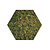 Moswens Sechseckiges Moosbild ECO Mix Vetus