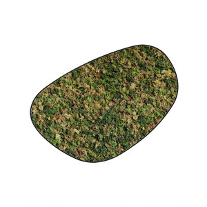 Moosdots Cuatro Moosbild ECO Mix Vetus