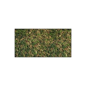 Rechteckiges Moosbild ECO Mix Vetus