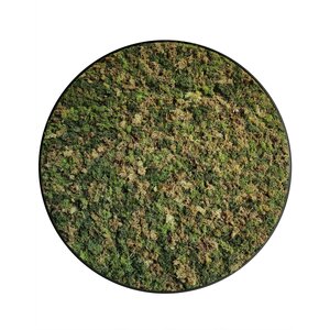 Rundes Moosbild MIX aus ECO-moos Vetus