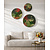 Moswens Rundes Moosbild Set Florielle