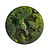 Moswens Rundes Moosbild Circle of Life