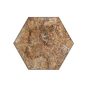 Hexagon Schilfbild inklusive Rahmen