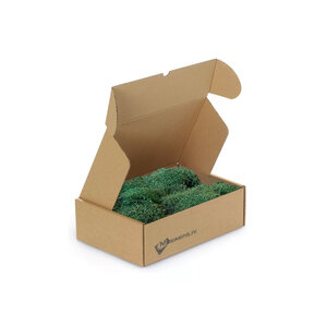 Flachmoos Box M dunkel  0,20 m²