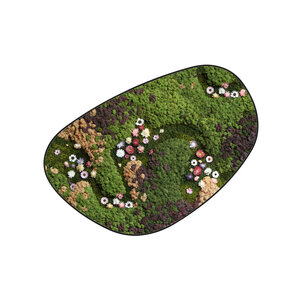 Moosdots Cuatro Moosbild Jania im Blumen-Stil