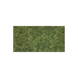Rechteckiges Moosbild ECO Dimidium