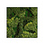 Moswens Quadratisches Moosbild Evey