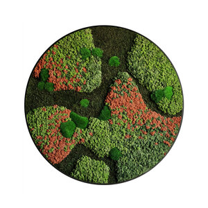 Rundes Moosbild Terra