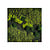Moswens Quadratisches Moosbild Seine