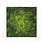 Moswens Quadratisches Moosbild Splash