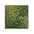 Moswens Quadratisches Moosbild Maris