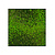 Moswens Quadratisches Moosbild Loran