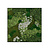Moswens Quadratisches Moosbild Juna