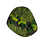 Moswens Moosdots Cinco Moosbild Seine