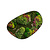 Moswens Moosdots Cuatro Moosbild Soraya